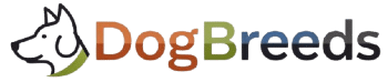 DogBreeds